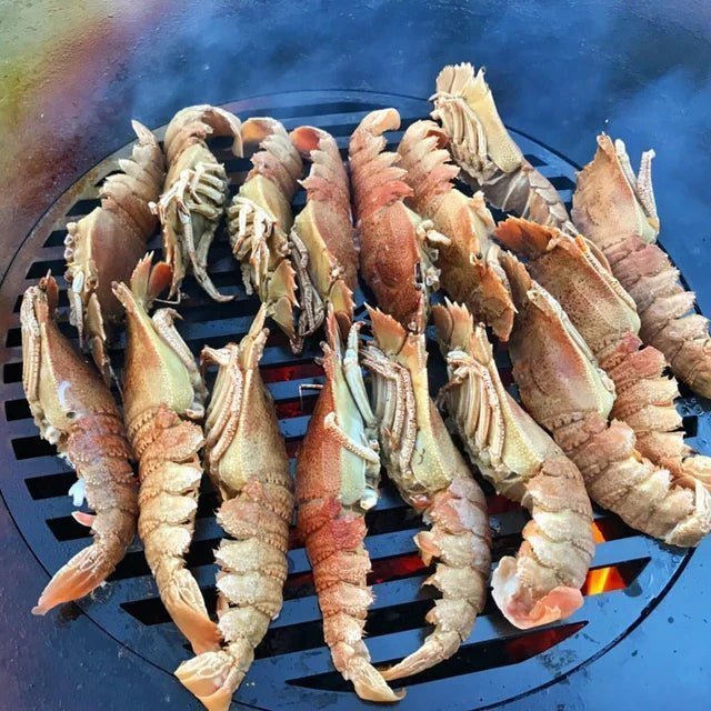 Arteflame Grill Grate (14 Ø)for 30 Arteflame Grills - Viva Alfresco