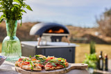 Le Feu Turtle Black Gas Powered Pizza Oven - Viva Alfresco