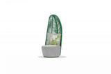 Whiteline Basil Outdoor Chair - Viva Alfresco